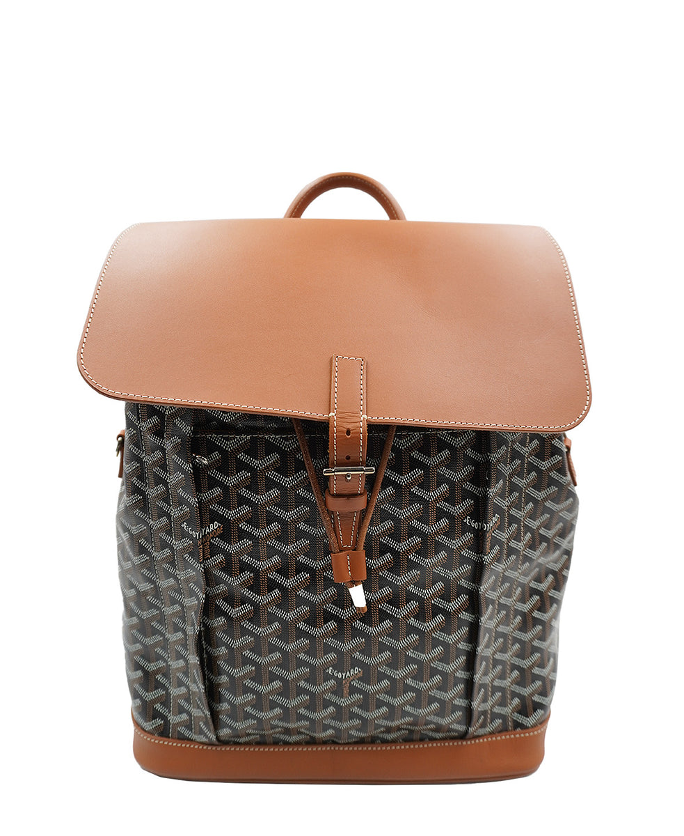 Goyard pre-owned black and tan Alpin MM backpack