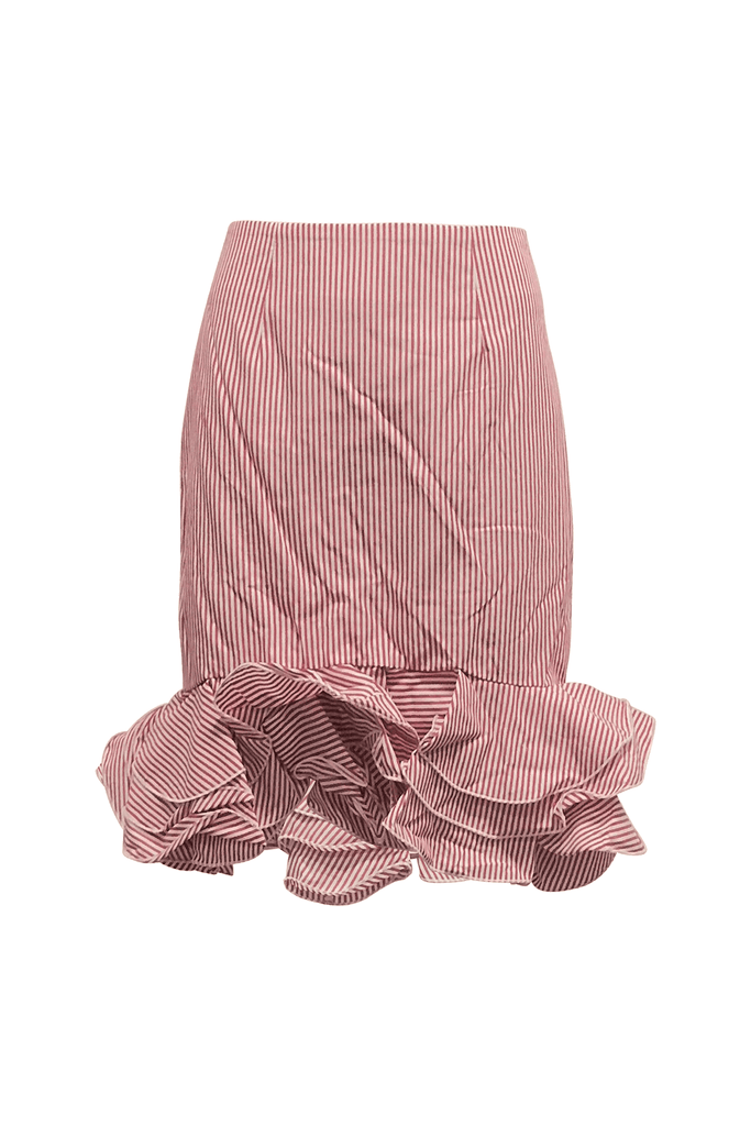 Petition Striped Skirt - Second Edit