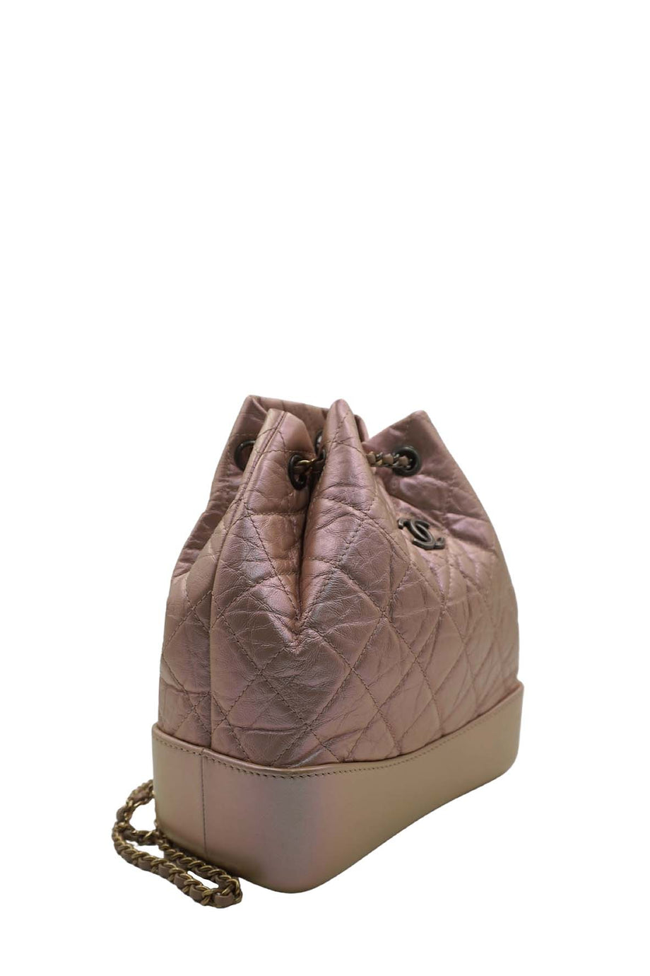 Chanel Iridescent Gabrielle Backpack
