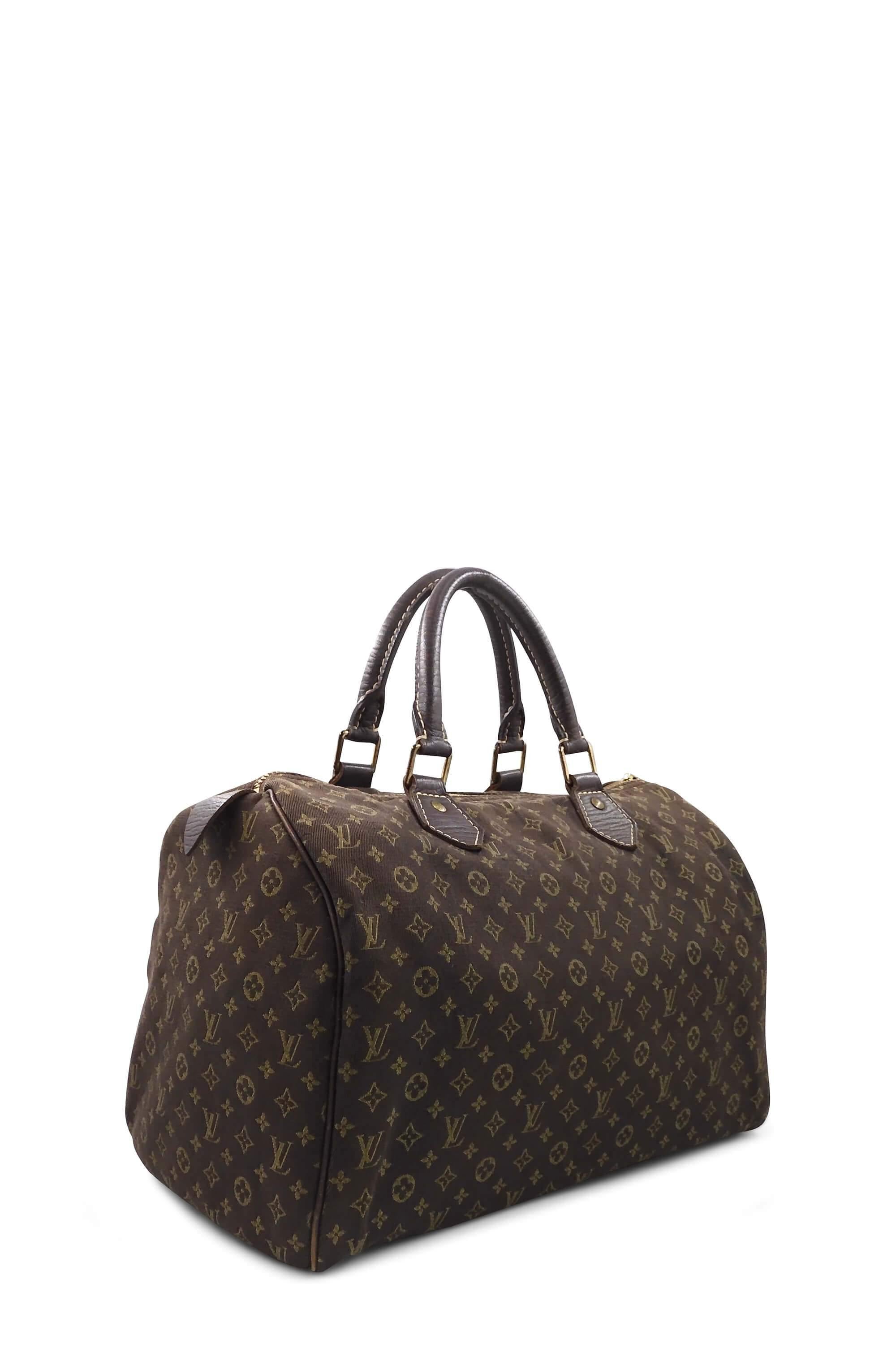 Speedy leather handbag Louis Vuitton Brown in Leather - 24970263