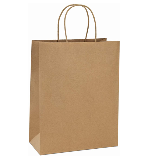 Shopping Paper Bag - Style Theory Shop