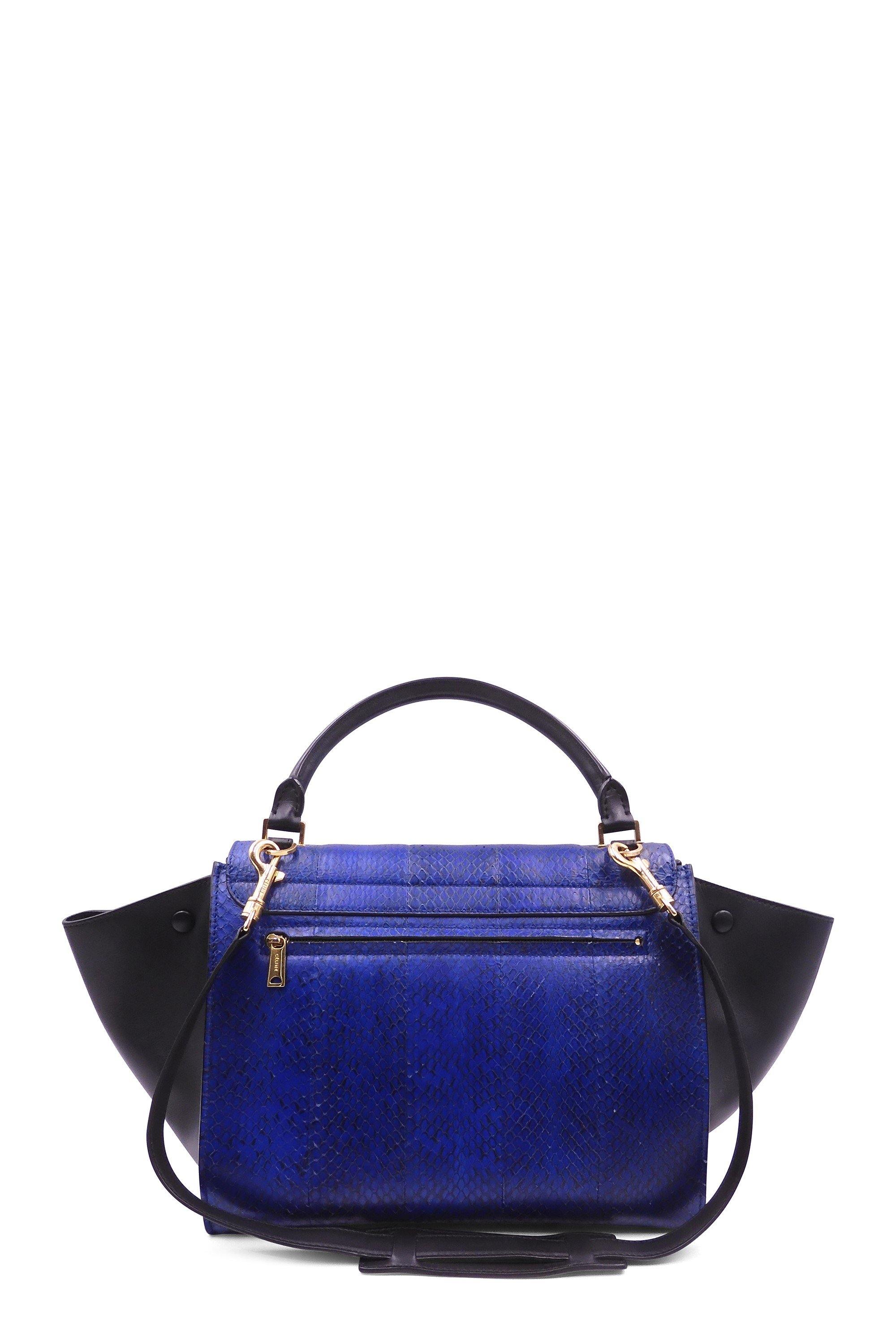 Celine trapeze best sale python bag