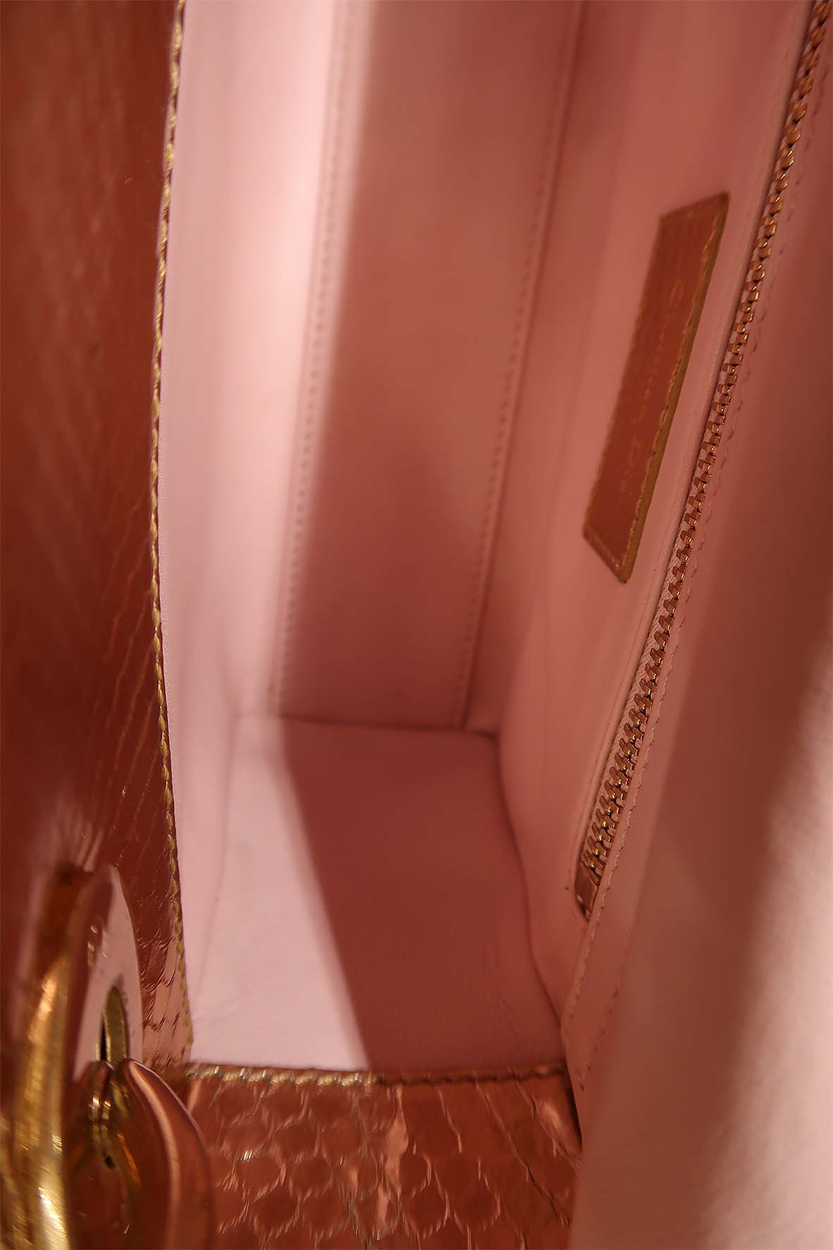 Medium size Lady Dior Metallic Gold/Brown Python skin Lady Dior Tote –  Pragma Valuables