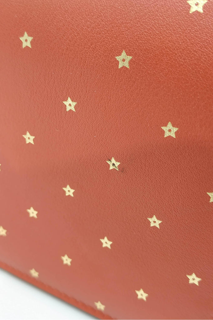 Dior Star Print Crossbody Bag Red - Style Theory Shop
