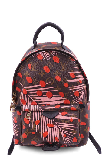 Louis Vuitton Jungle Dots Palm Springs Backpack in Brown Monogram